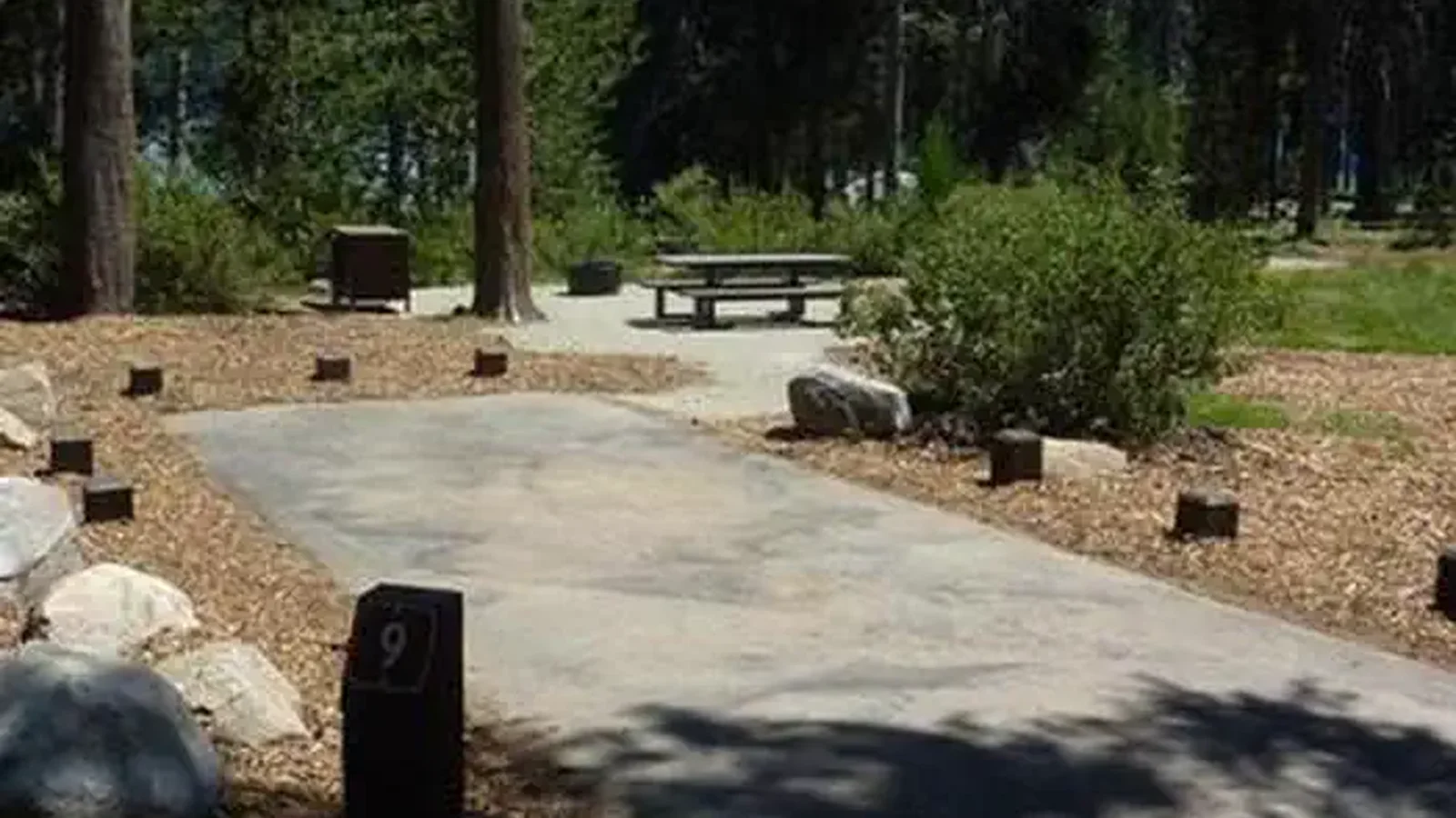 COLLEGE site 9