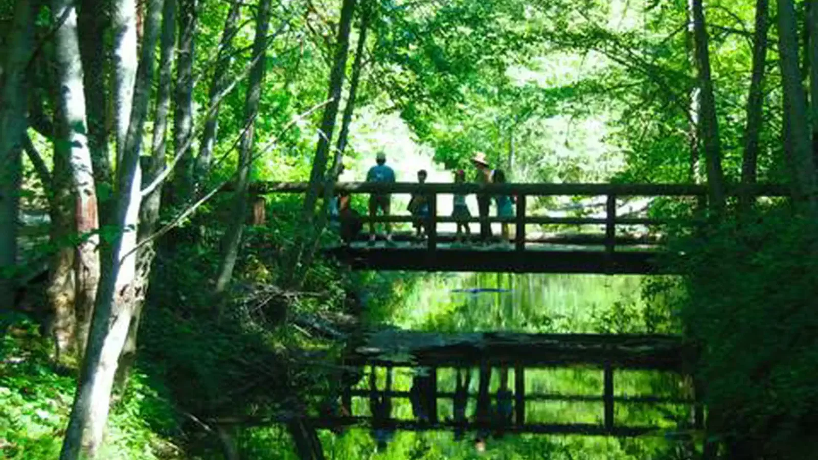 Visitors on a bridge over water