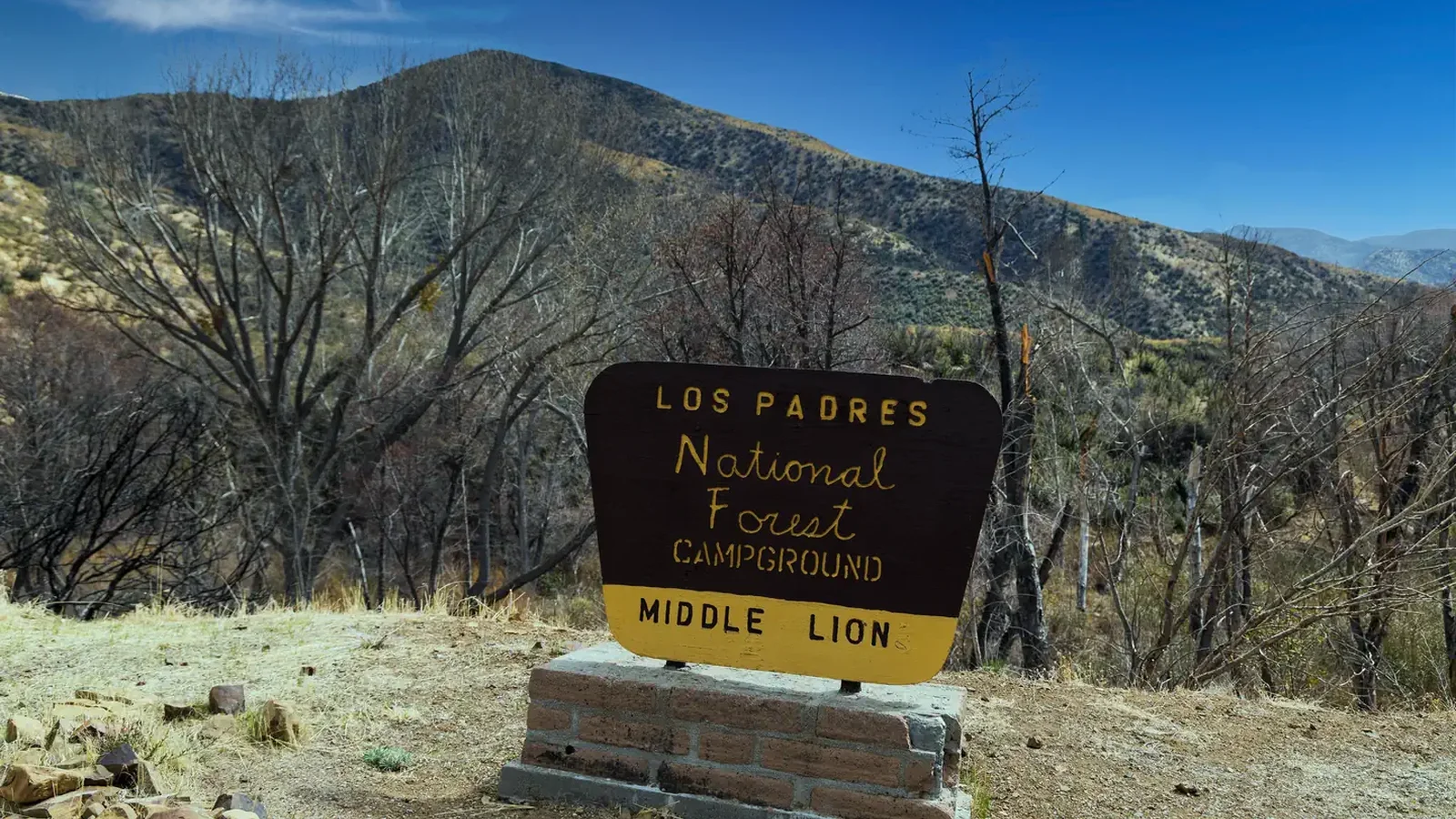 MIDDLE LION CAMPGROUND.