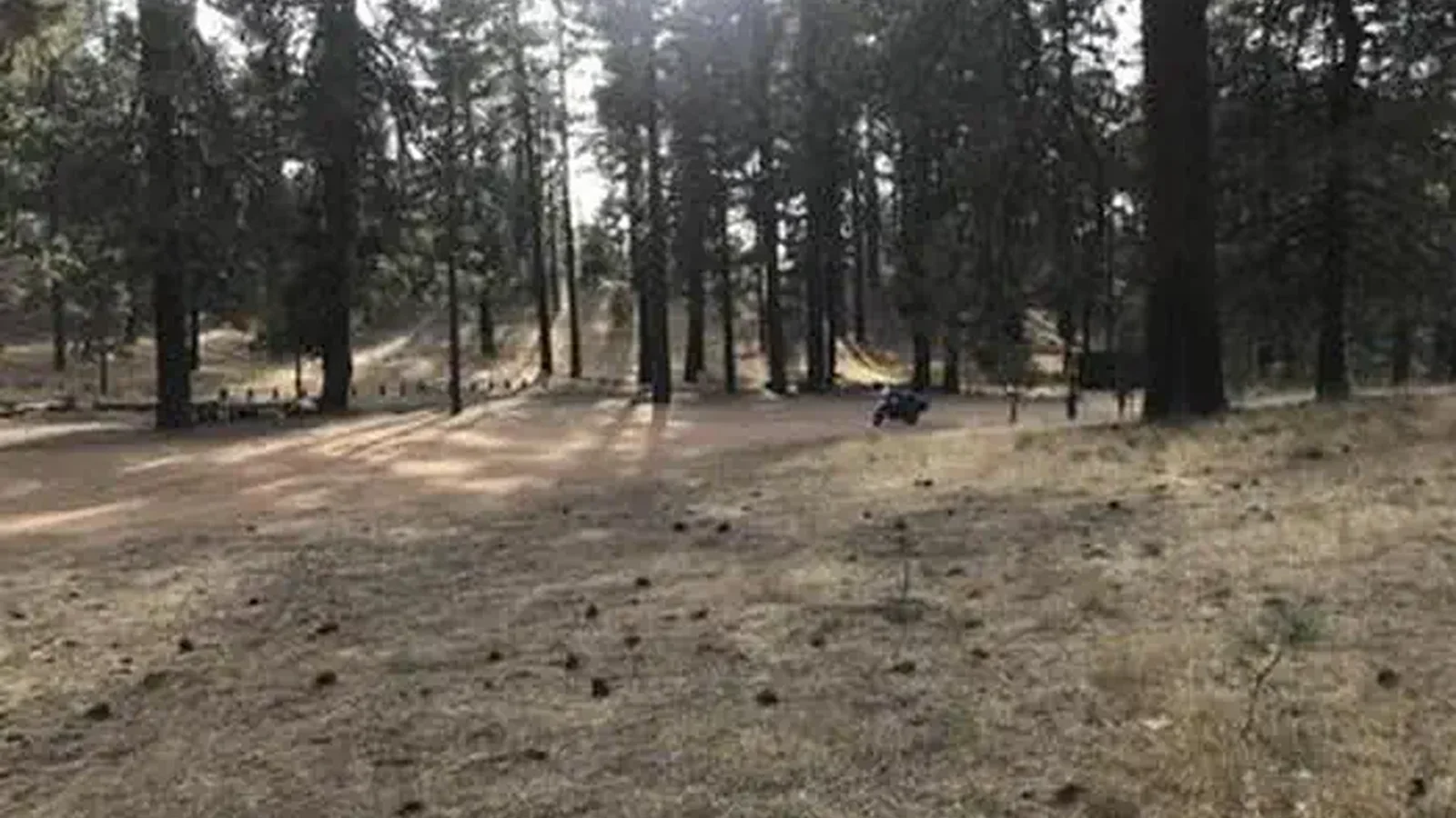 PINE MOUNTAIN CAMPGROUND