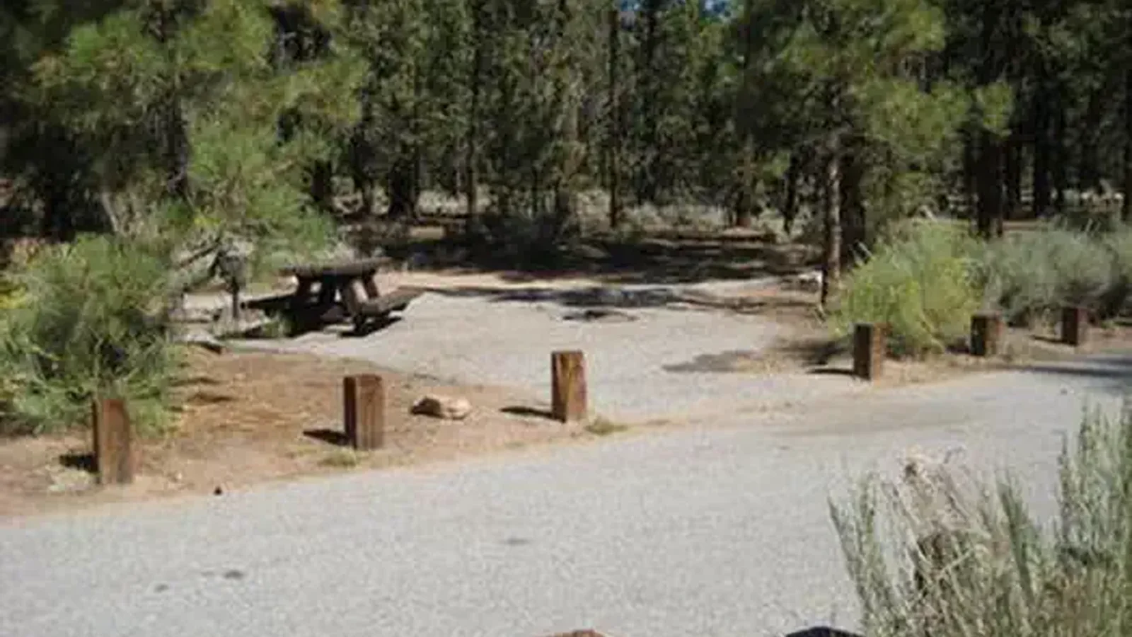 Heart Bar Campground Picnic Tables.