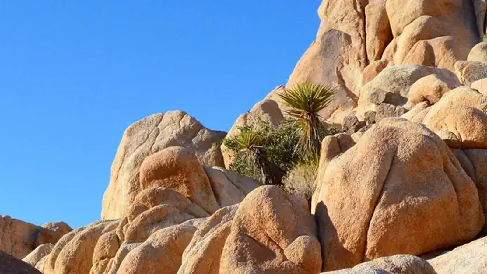Rocks at Indian Cove, Joshua Tree National Park