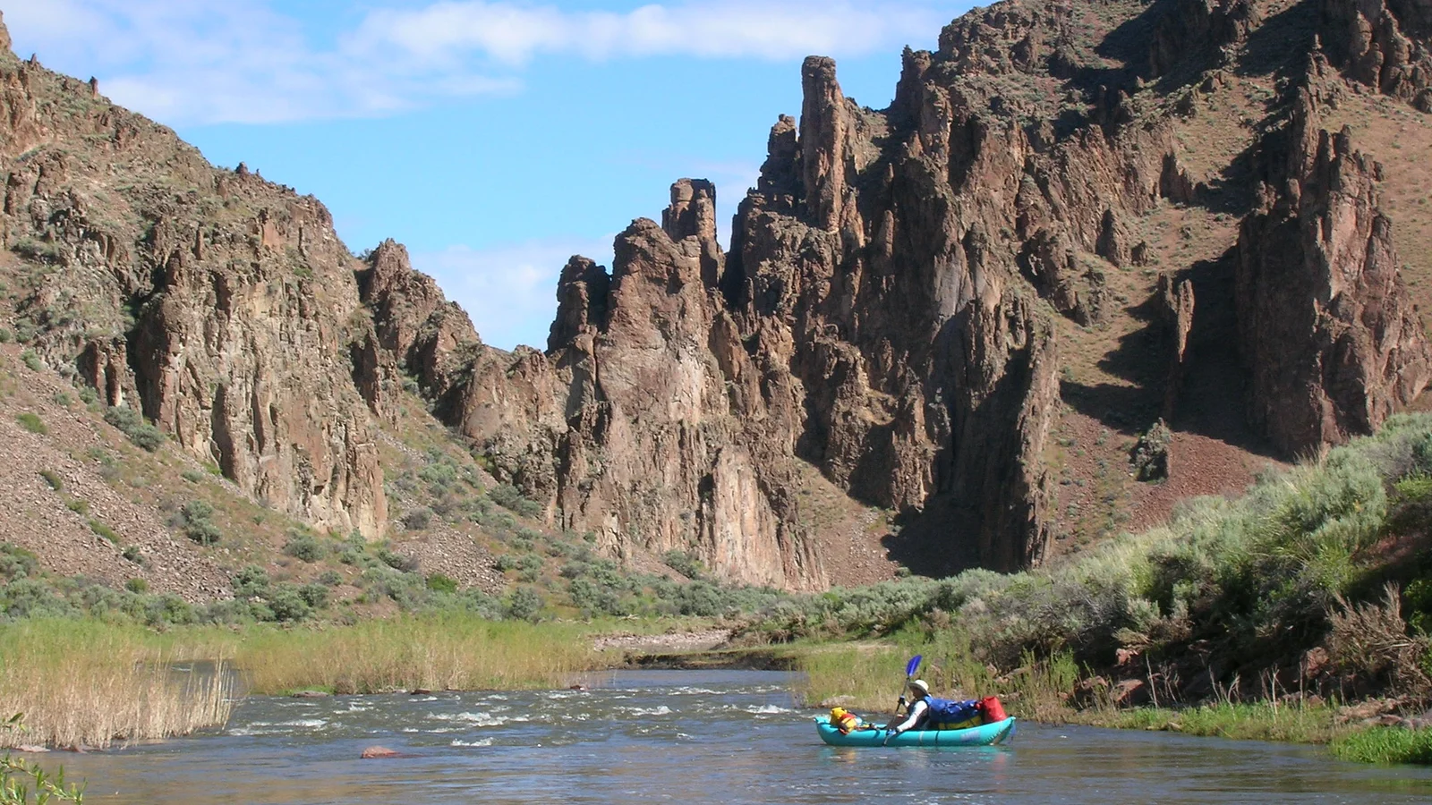 South Fork Owyhee