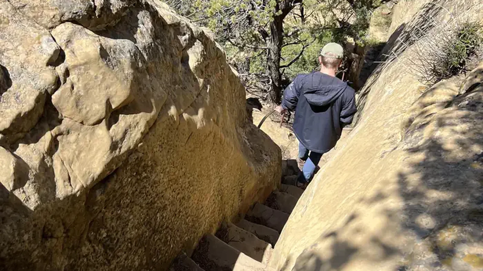 A person descends steep stone steps into the canyon between two large rocks and towards several trees.