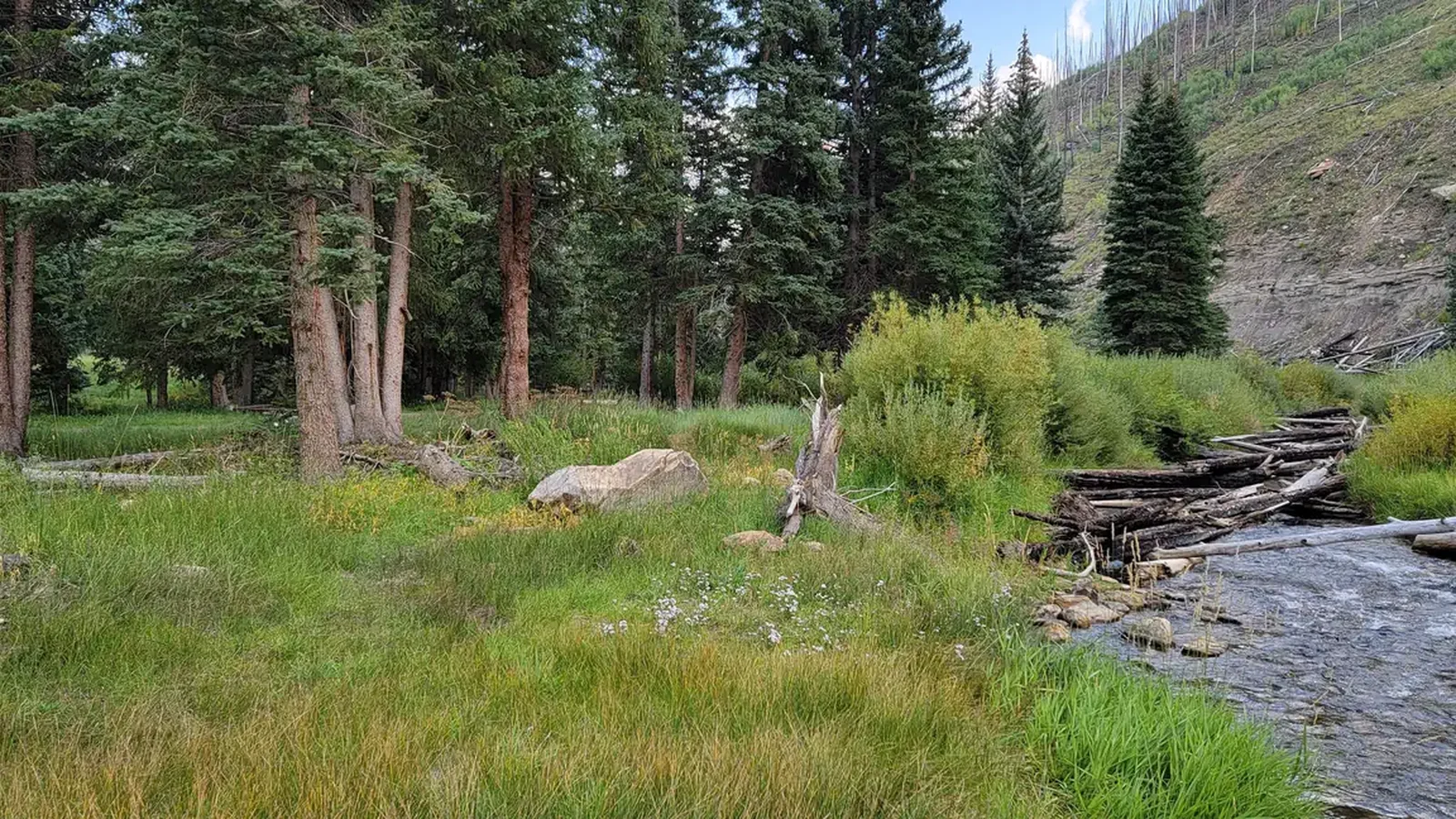 Huntington Creek2