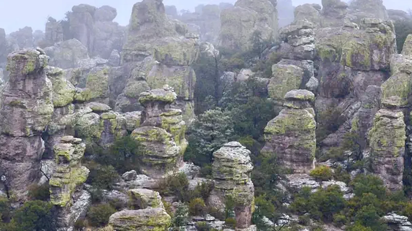Chiricahua